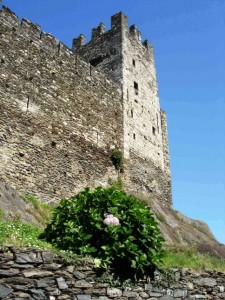 Castello di Corenno Plinio la torre