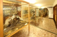 Esino - Museo delle Grigne